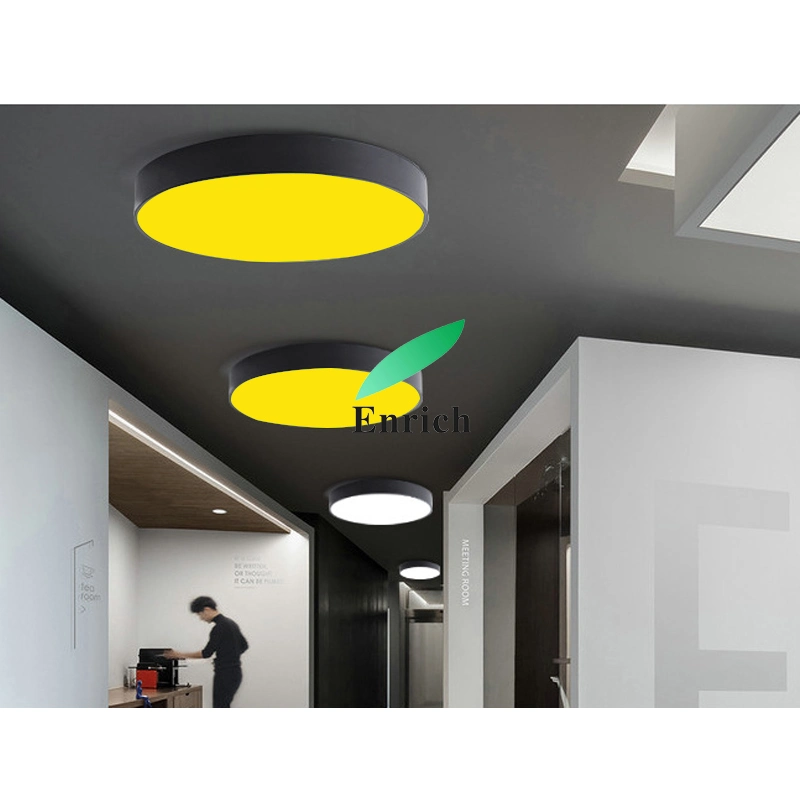 RGB Color Round Panel Shape Pendant LED Light for Projects