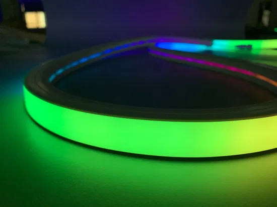 Striscia al neon flessibile RGB personalizzata impermeabile per decorazioni pubblicitarie